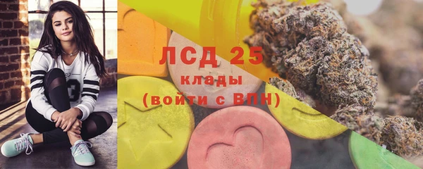 гашик Липки