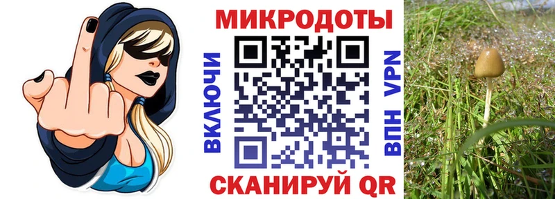 KRAKEN ССЫЛКА  цены наркотик  Усмань  Псилоцибиновые грибы Psilocybine cubensis 